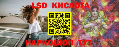шишки Сланцы