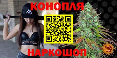 шишки Сланцы