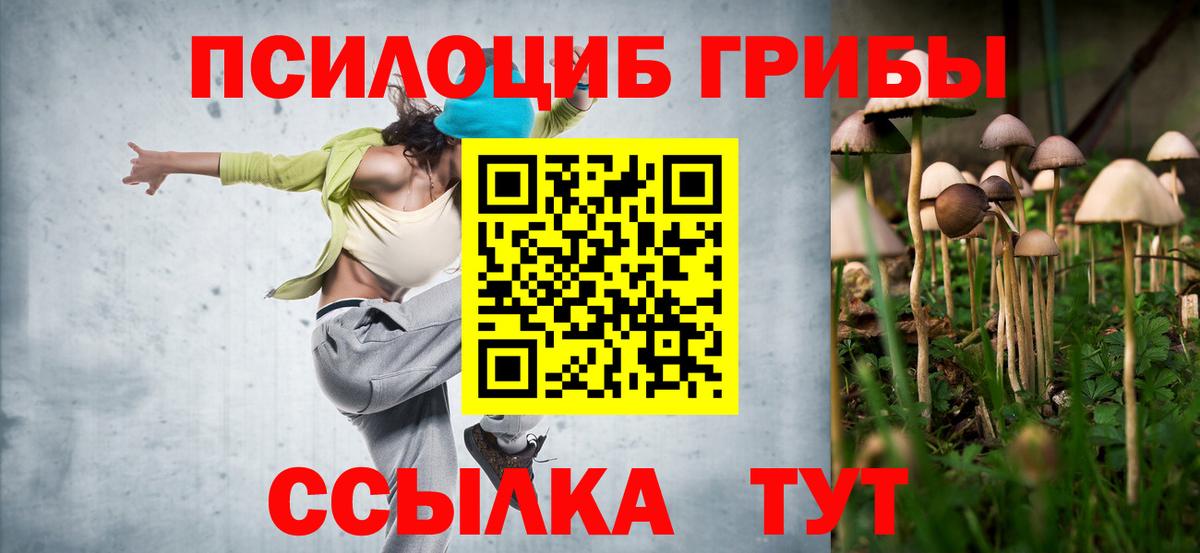 Галлюциногенные грибы Cubensis Нижний Новгород